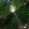 The Wind Caves Trail is beautiful in late spring.