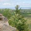 Schiff Path has beautiful views from its pleasant tread. I never knew how much I could love rocks!