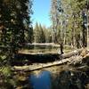 This shady, forested lake provides a pleasant sight along the Salmon Lake Trail.