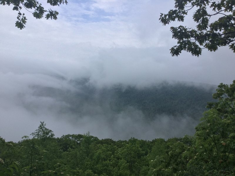 This den offers a great view whether in fog or not.