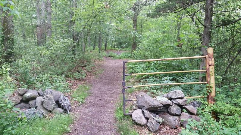 This gate marks the official entrance to the trails at Village Park.