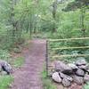 This gate marks the official entrance to the trails at Village Park.