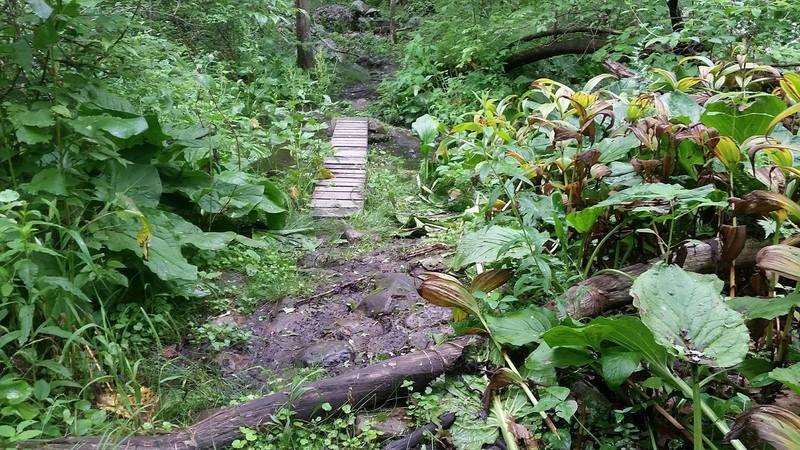 Muddy, rocky, and technical, this section will test your foot placement!