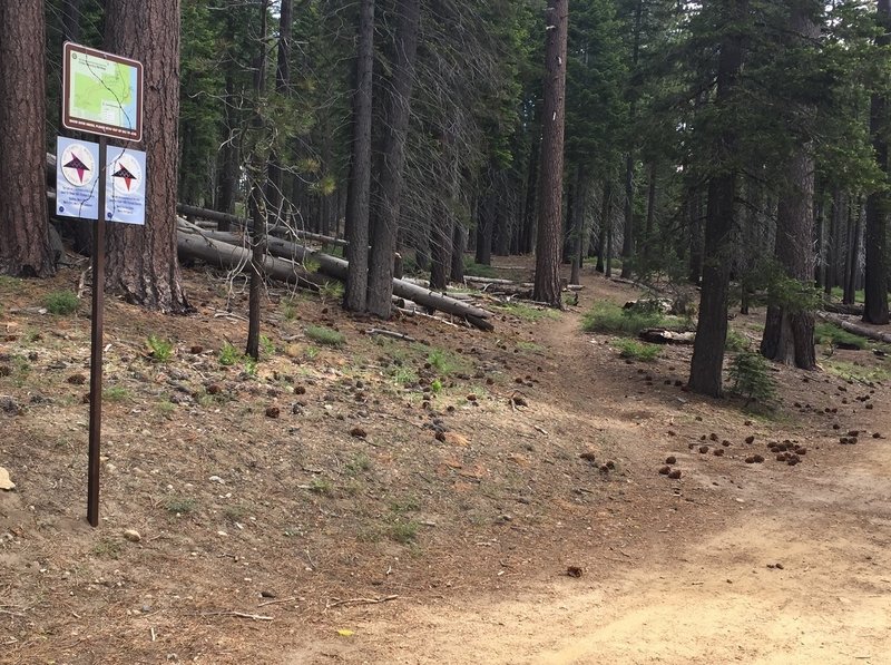 This is the southern "trailhead" for this trail. Picture is looking northeast from the General Creek Fire Road.