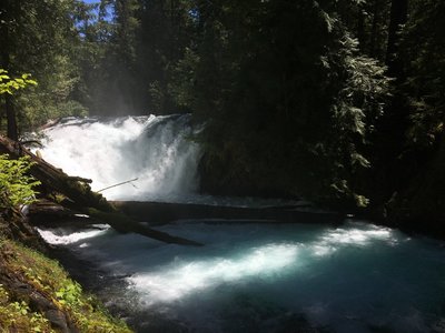McKenzie River Trail follows its beautiful namesake river.