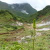 The Valley of Desolation is verdant and beautiful.