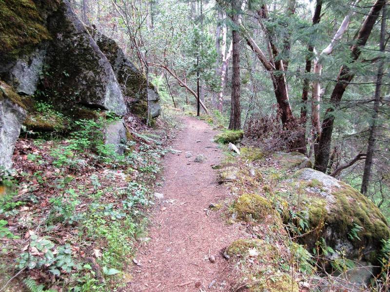 The Waterline Trail meanders above Ashland Creek.