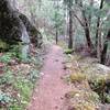 The Waterline Trail meanders above Ashland Creek.