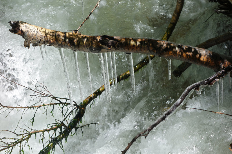 Icicles remain along Big Pine Creek well into summer.