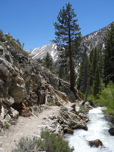 Big Pine Creek flows strongly after the very wet 2016-2017 winter.