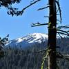 Mt Ashland from Lewis Loops (Gyre) (Robert Nicholson photo)