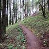 Snark trail as it climbs to Bandersnatch (Robert Nicholson photo)