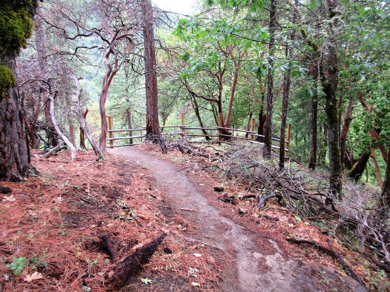 Lower Red Queen Trail has a beautifully smooth tread.