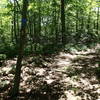 At the end of the Osborn Loop Trail you can jump right back on the Appalachian Trail.