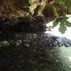 This awesome cave offers cool relief from the midday heat.