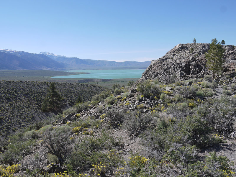 Mono Lake pokes around the edge of Panum Crater.