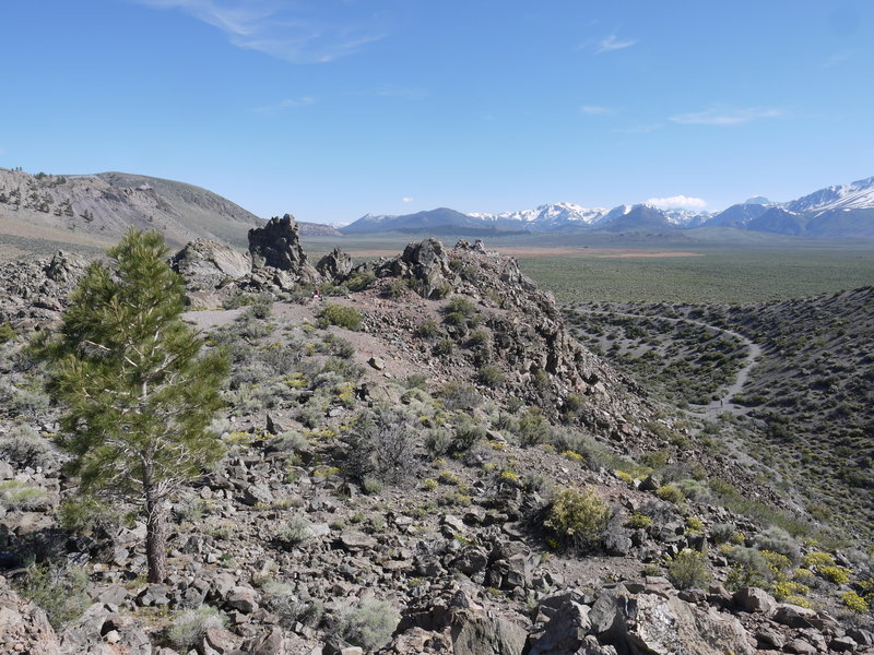 Panum Crater Plug Trail can be seen from near the top of the crater.