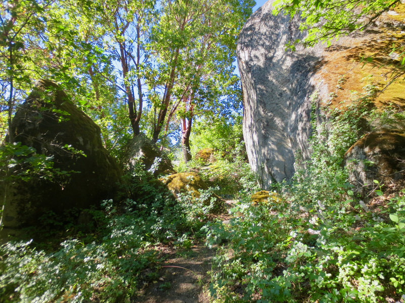 Some of the boulders on the White Rabbit Trail, like the one on the right, are over 30 feet tall!