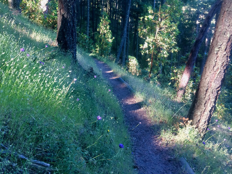 The Mike Uhtoff Trail is pleasant heading west into the shade.