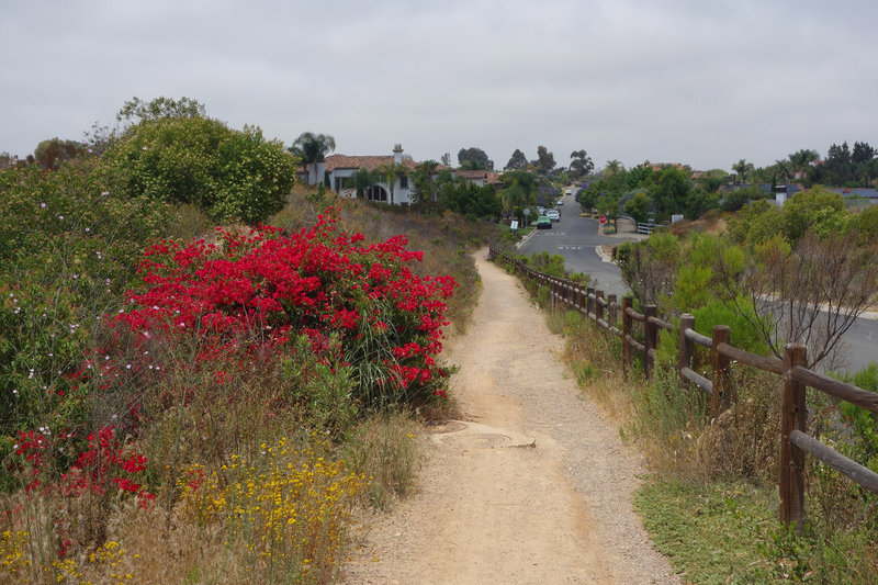 The multi-use trail adjacent to Rancho Toyon Place is a great spot to get out and stretch your legs.