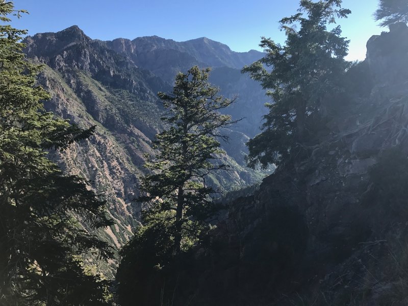 Enjoy phenomenal views looking up American Fork Canyon.