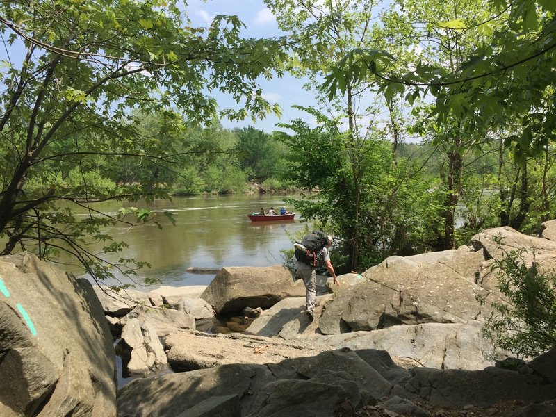 Gulf Branch Boulder Field reaches the Potomac.