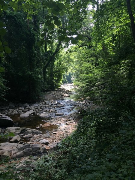 Pimmit Run follows along this portion of the trail.