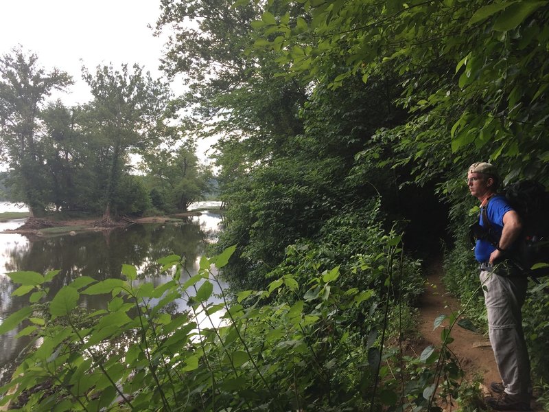 A fellow hiker enjoys the broad Potomac.