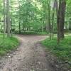 The Switchback Trail (white) enters from the right.