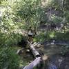 This is just one of the many creek crossings along Dry Creek.