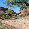 Looking back south into The Gulch, you get some sense of how far you've come.