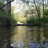 Looking upstream from Rock Dam crossing.