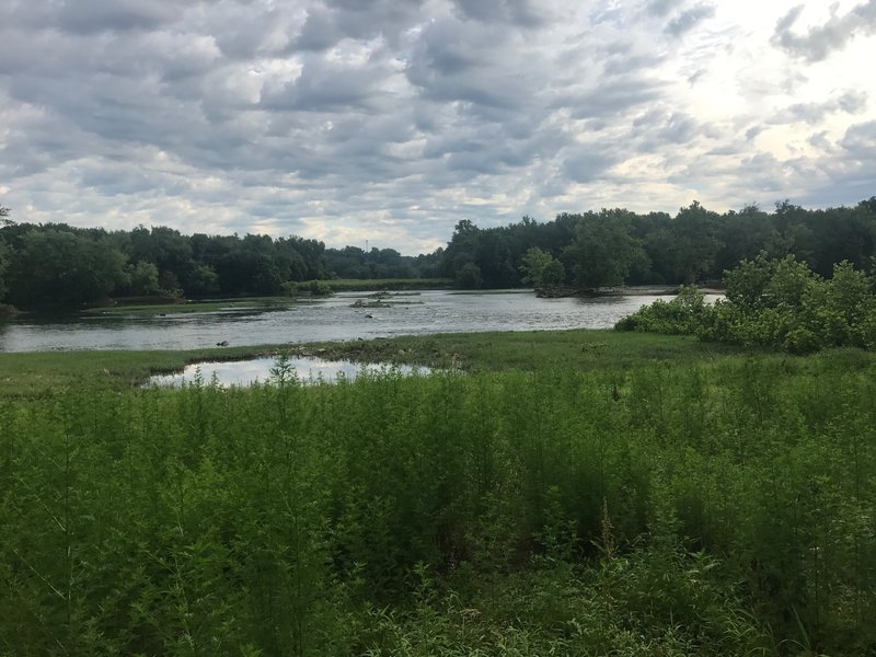 A view of the Potomac.