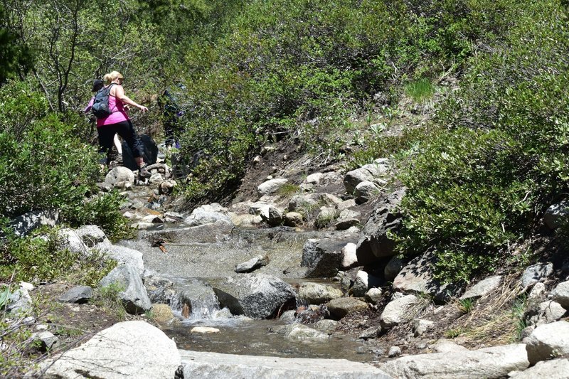 Daily snowmelt makes certain sections of the trail into creeks... I'm grateful for good boots and waterproofing!