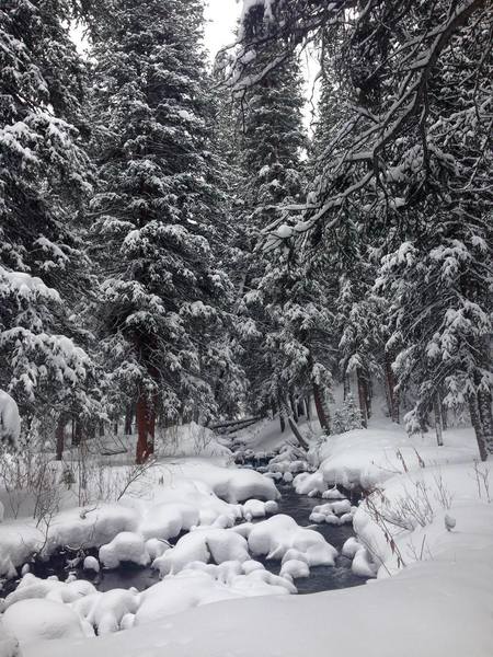 Snowshoes are heavily encouraged in the wintertime!