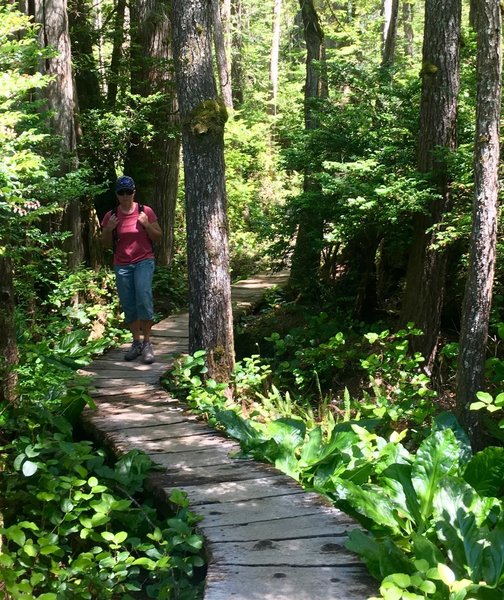 Most of the North Sand Point Trail is boardwalk.