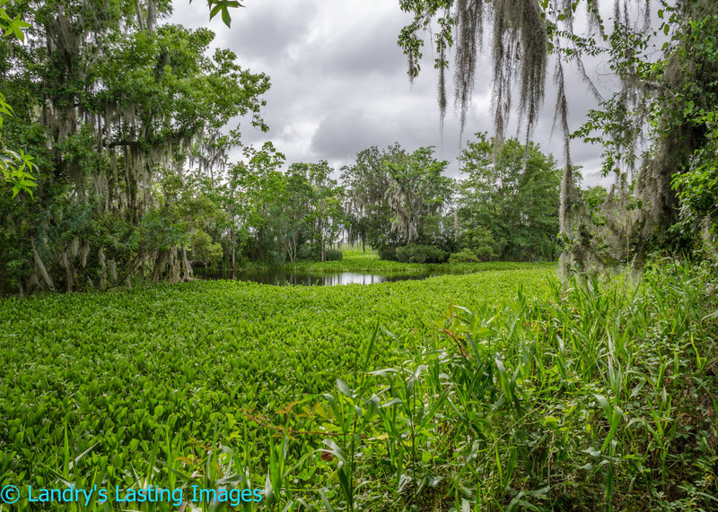 Enjoy these gorgeous views on the way to the overlook.