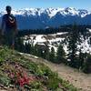 Blue sky makes any day incredible in Olympic National Park!