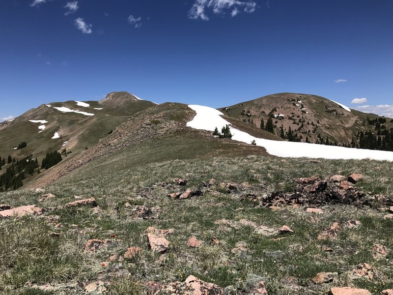 Enjoy the view looking north toward Ute Peak after a little off-trail climb from the end of the Acorn Creek Trail.