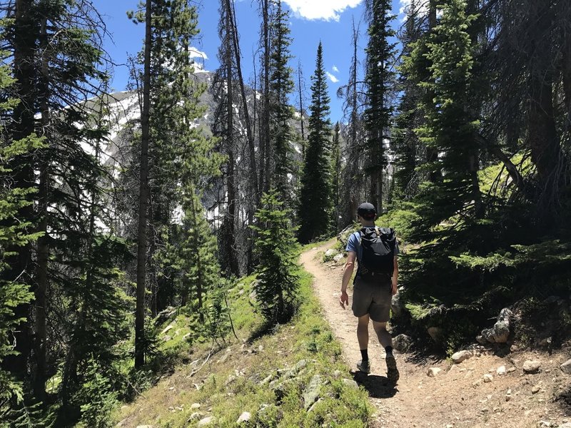 Heading up on the North Willow Lake Trail, views of the neighboring peaks abound.