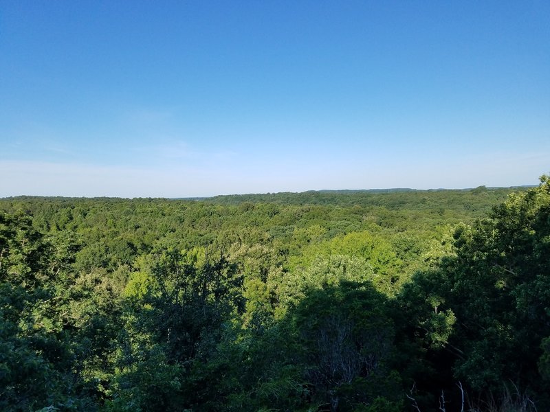 Enjoy pleasant views from the Blackjack Oak Trail.