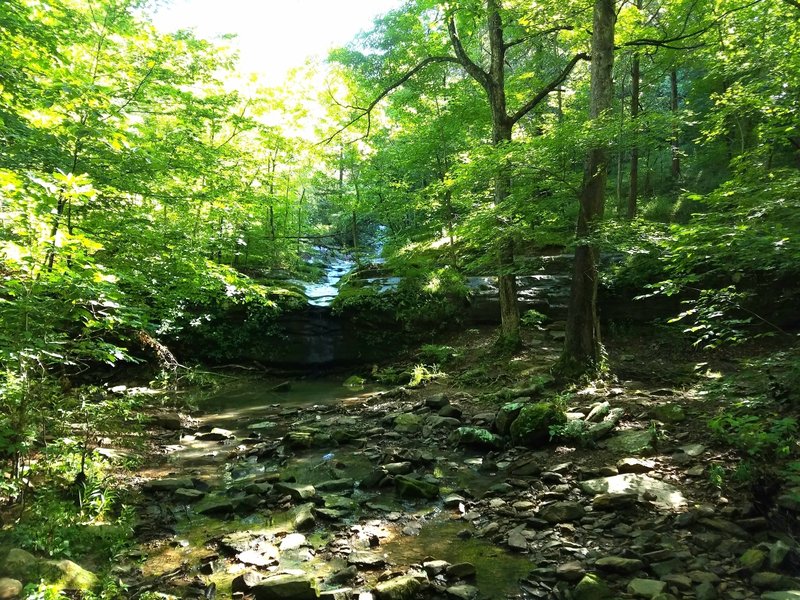 A waterfall on Rebman Trail.