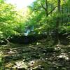 A waterfall on Rebman Trail.