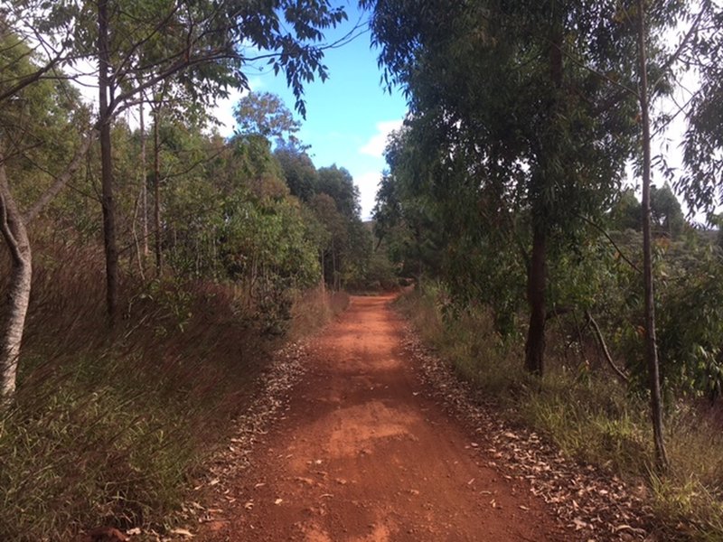 Morro do Chapeu dirt road uphill.