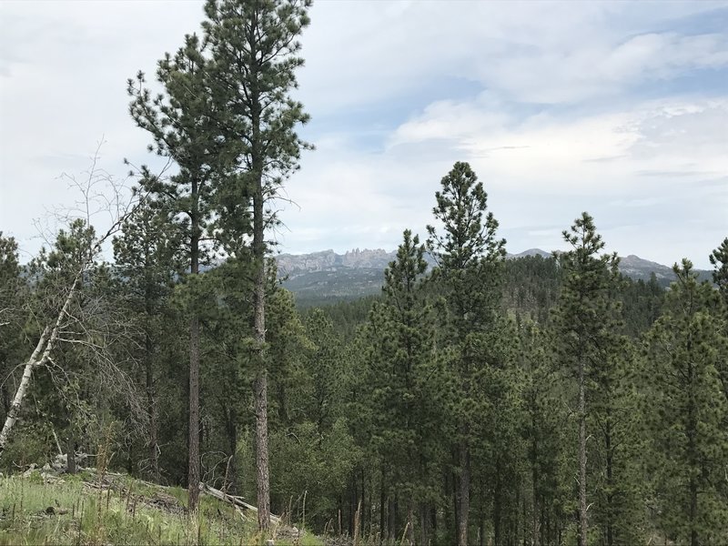 Enjoy great views of Cathedral Spires from the Stockade Lake Trail.