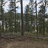 The Stockade Lake Trail offers great views of its namesake.