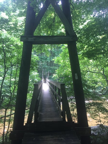 A beautiful bridge crosses the Tye River along the AT.