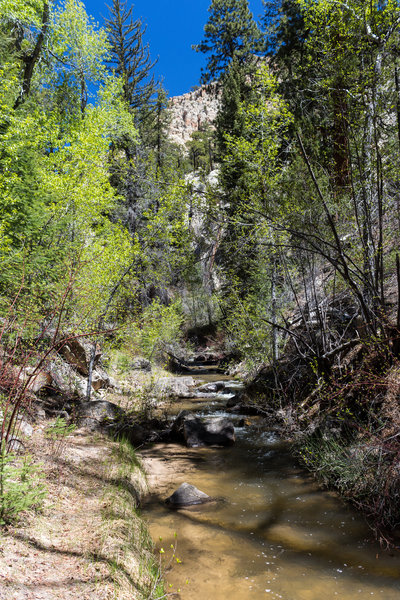 This is one of the many crossings of Pine Creek on The Box.