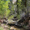 This is one of the many crossings of Pine Creek on The Box.