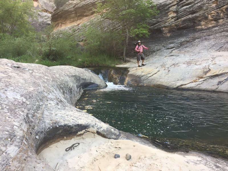 Both snakes and waterfalls live in Lower Death Hollow.